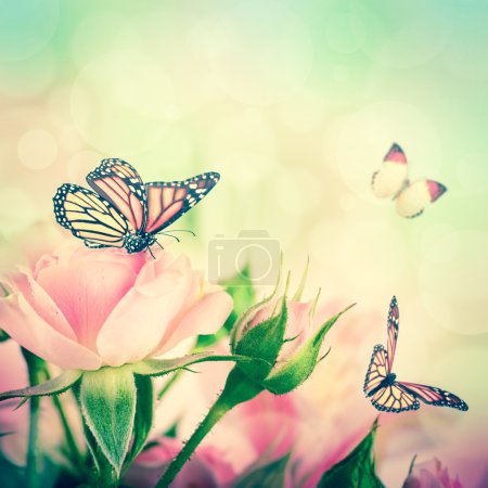 Roses and butterflies