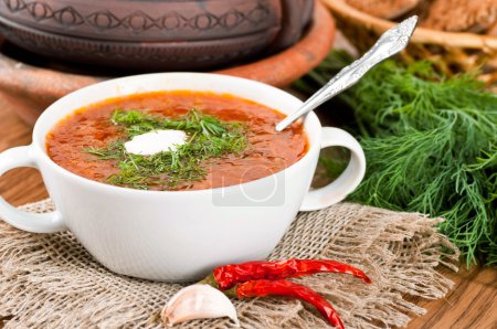 Borsch, soup from a beet and cabbage with tomato sauce.
