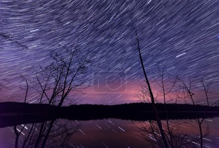 Star trails along lake with trees