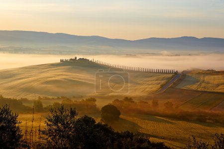 typical Tuscany landscape, Italy 