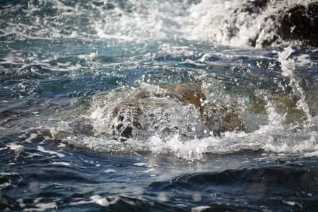 sea rock is breaking powerful wave 