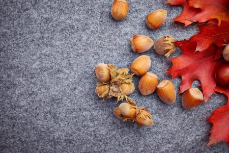 Nuts and berrys autumn background