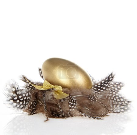 Golden Egg in the Nest 
