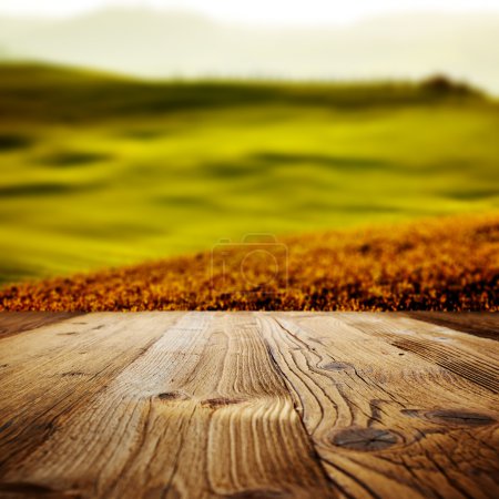 Wood background on the tuscany landscape
