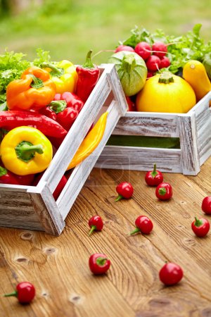 Vegetables in a wooden box
