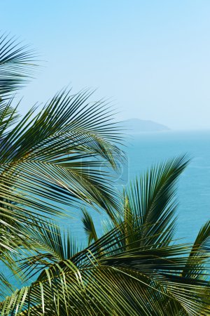 Exotic, beautiful and secluded beach with palm trees in the fore