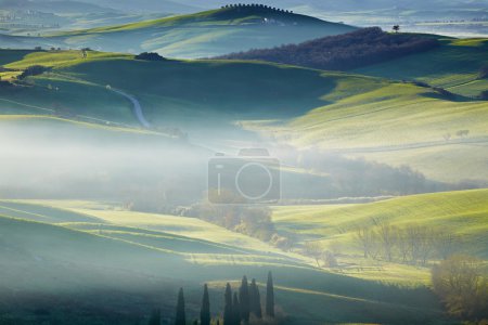 Tuscany, Italy - Landscape