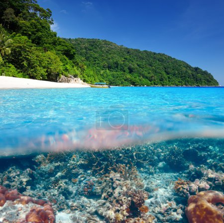 Beach with coral reef underwater view