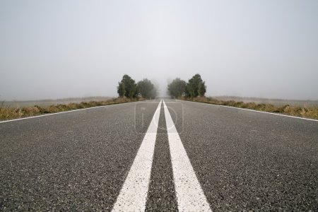 Empty road in a foggy day