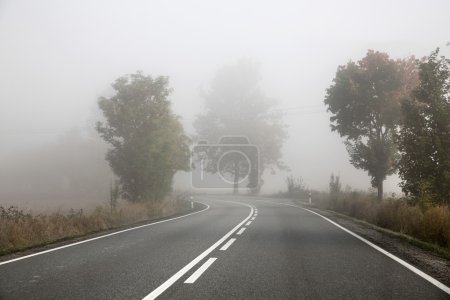 Picture presenting foggy road
