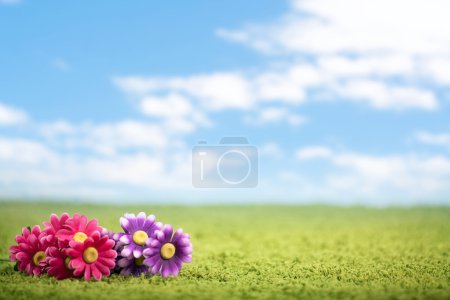Photo-illustration of flowers on meadow