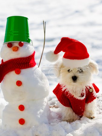 Winter fun, Christmas - cute puppy playing with snowman