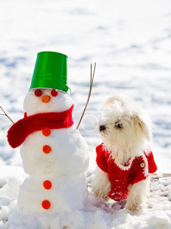 Winter fun, Christmas - cute puppy playing with snowman