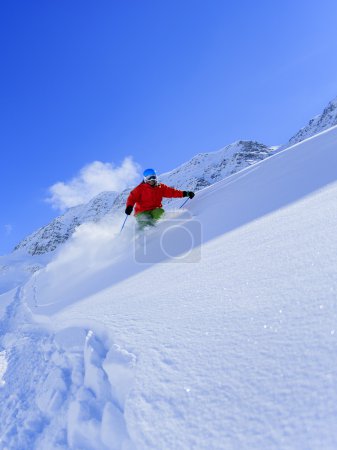 Ski, Skier, Freeride in fresh powder snow - man skiing downhill