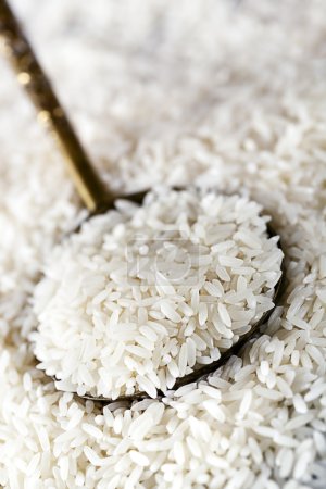 White Rice on Spoon