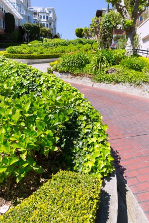 San Francisco Lombard Street gardens California