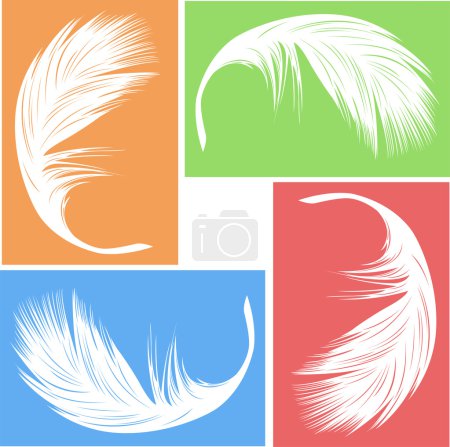 Feather vector