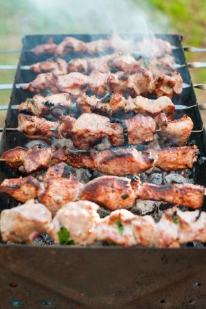 Cooking barbecue or shashlik on spit. Picnic on weekend. Outdoor