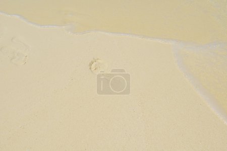 Footsteps on beach