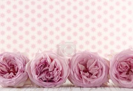 Row of pink roses