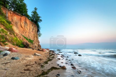 Cliff of Orlowo at Baltic sea