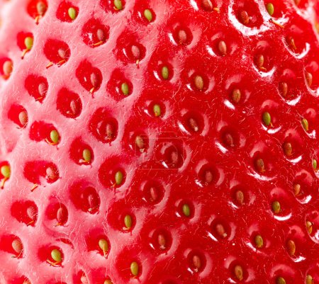 Strawberry Texture. Berry Background. Closeup Structure. Macro