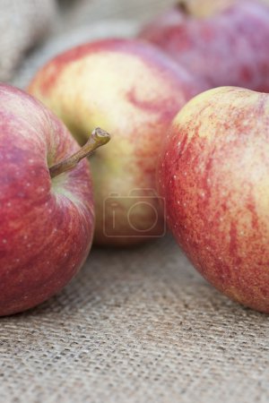 Braeburn apples on vintage hessian cloth