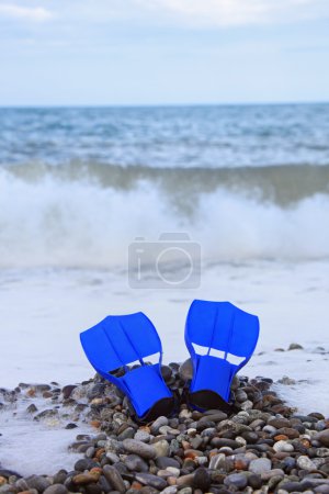Flippers on stony beach