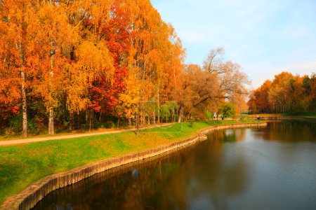 Autumn in city park at october