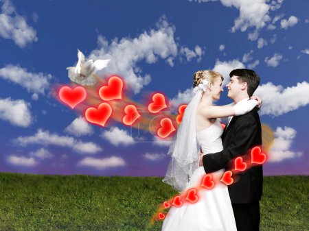 Wedding couple with dove on meadow collage