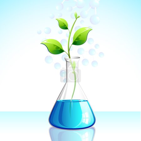 Biotechnological Plant