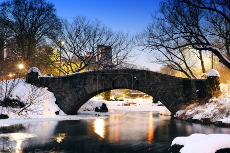 New York City Central Park bridge in winter