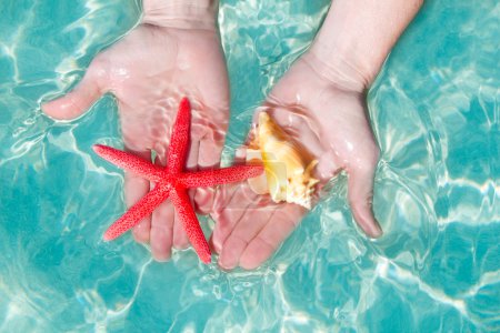 Hands starfish and seashell in tropical water