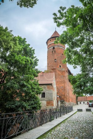 Ordensburg castle in Olsztyn, Poland. View from Lyna river.