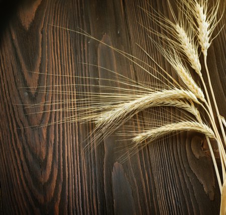 Wheat Border Over Wooden Background