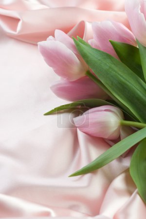 Beautiful Tulip And Silk. With Copy Space