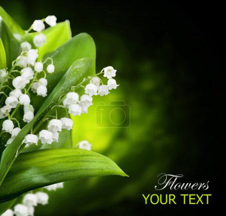 Lily-of-the-valley Flowers Design