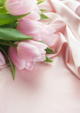 Beautiful Tulips And Silk