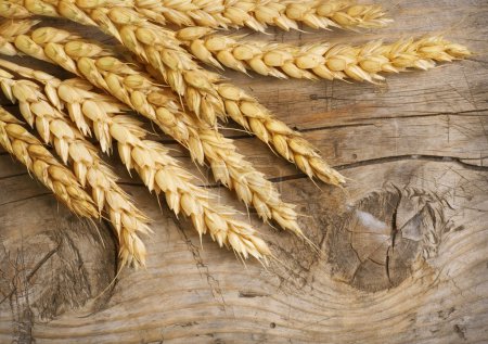 Wheat Ears on the Wood . Food Background