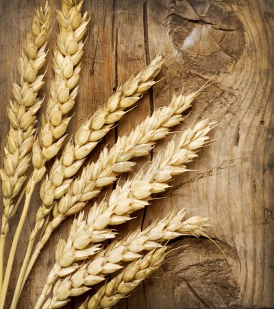 Wheat Ears on the Wood Background