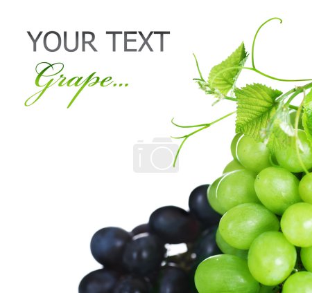 Grapes border isolated on White