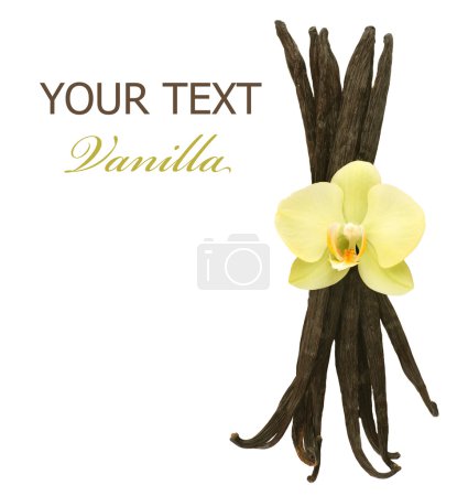 Beautiful Vanilla Beans And Flower