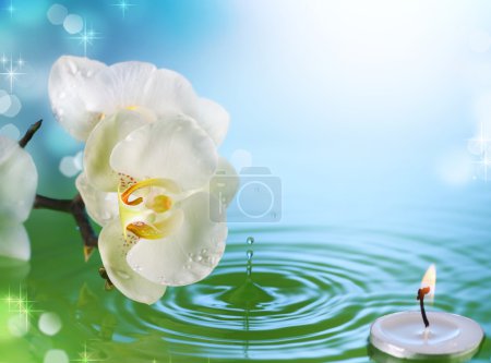 Beautiful Orchid And Candle In Water