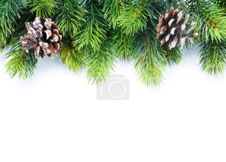 Christmas Fir Tree Border