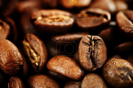 Coffee Closeup