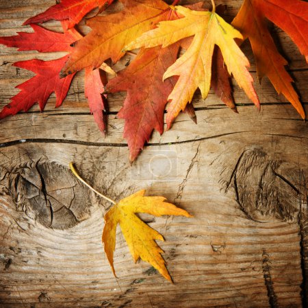Autumn Leaves over wood background. With copy space