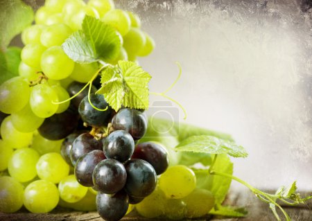 Bunch Of Grape. Vintage Styled. With Copy-space