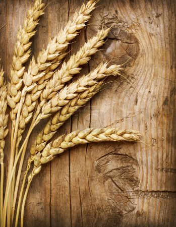 Wheat Ears on the Wood . Food Background