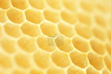 Honeycomb. Shallow DOF