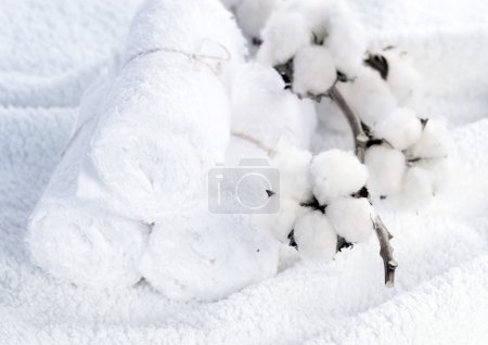 Cotton White Towels With Cotton Plant